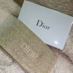 Dior Beauty Woven Flipped Cosmetic Bag